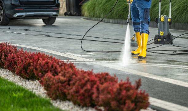 Best Building Exterior Washing  in River Road, NC